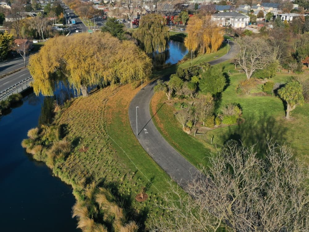 ARP Loop planting 20200616 1
