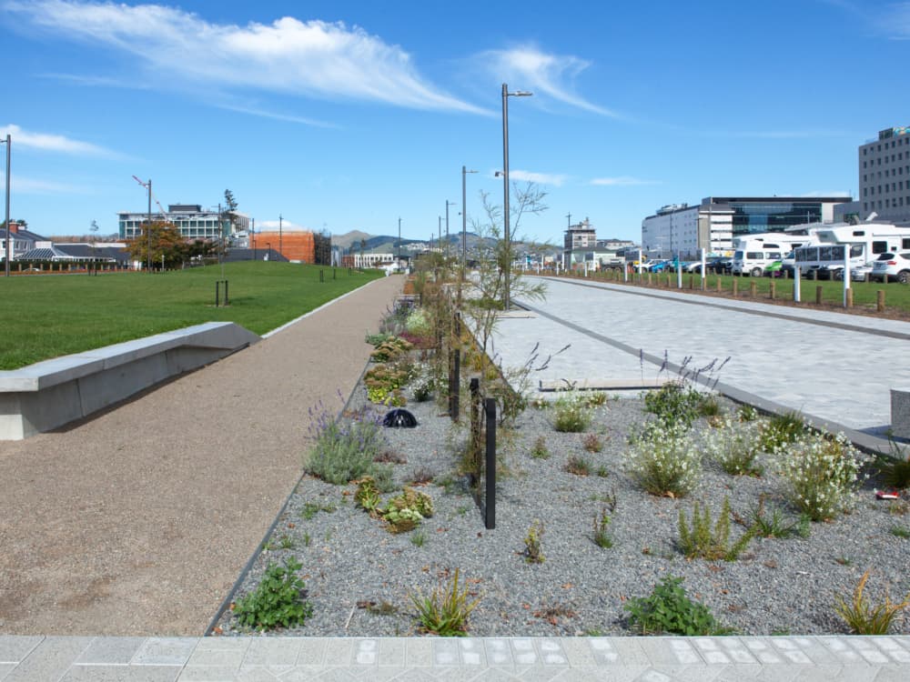 EFP Rauora Park 6625