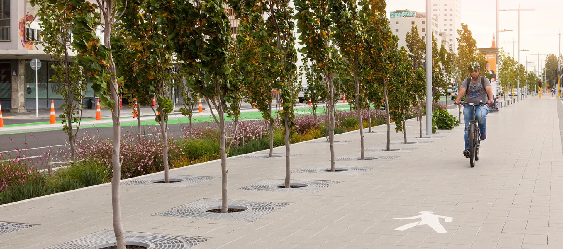 AAC 20180327 Manchester Street trees