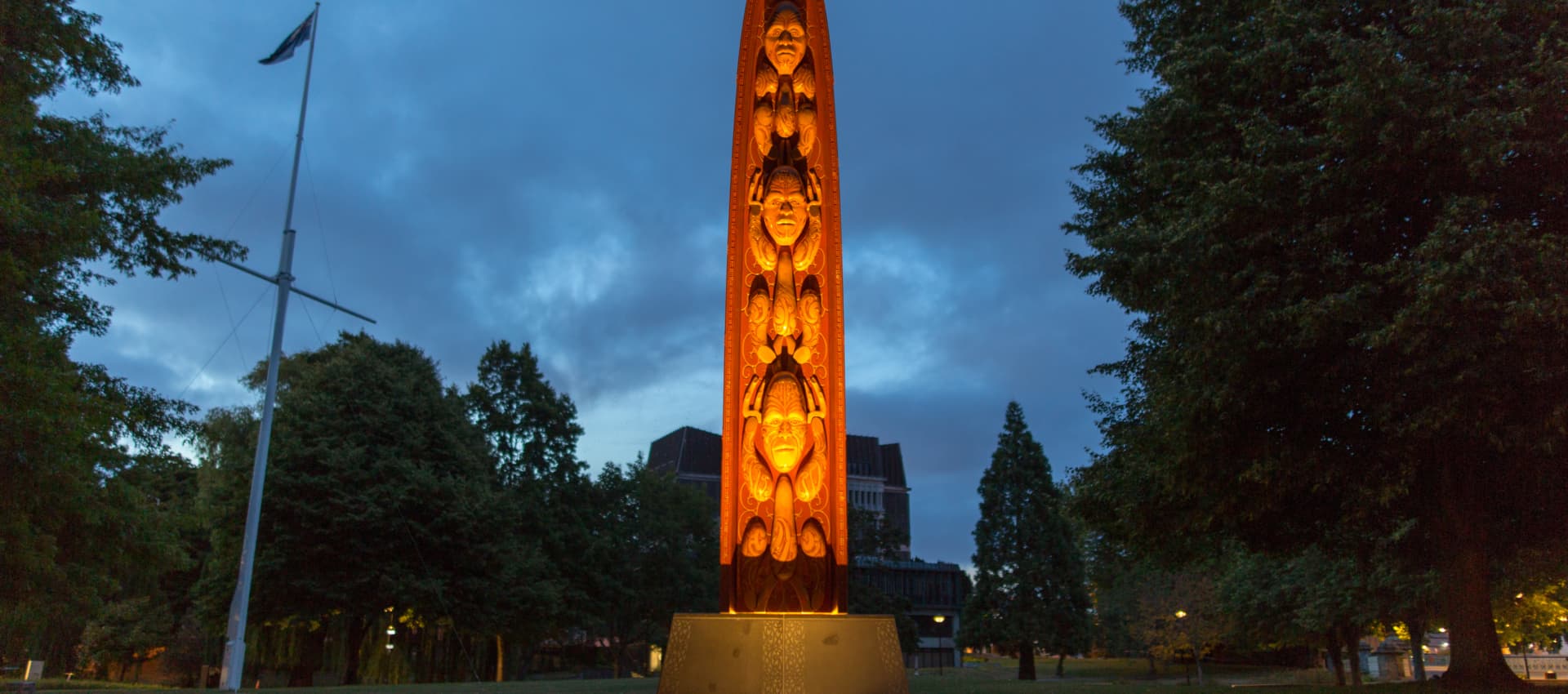 ARP Mana Motuhake Night 20200117 5